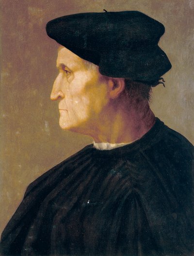 Portrait of Francesco di Castiglione by Jacopo Pontormo